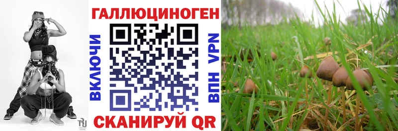 закладки  Красноярск  Псилоцибиновые грибы прущие грибы 